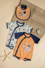 <tc>سالوبيت الثعلب، ثلاثة في واحد</tc>