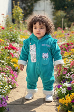 الدب المتناغم