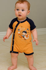 <tc>سالوبيت الثعلب، ثلاثة في واحد</tc>