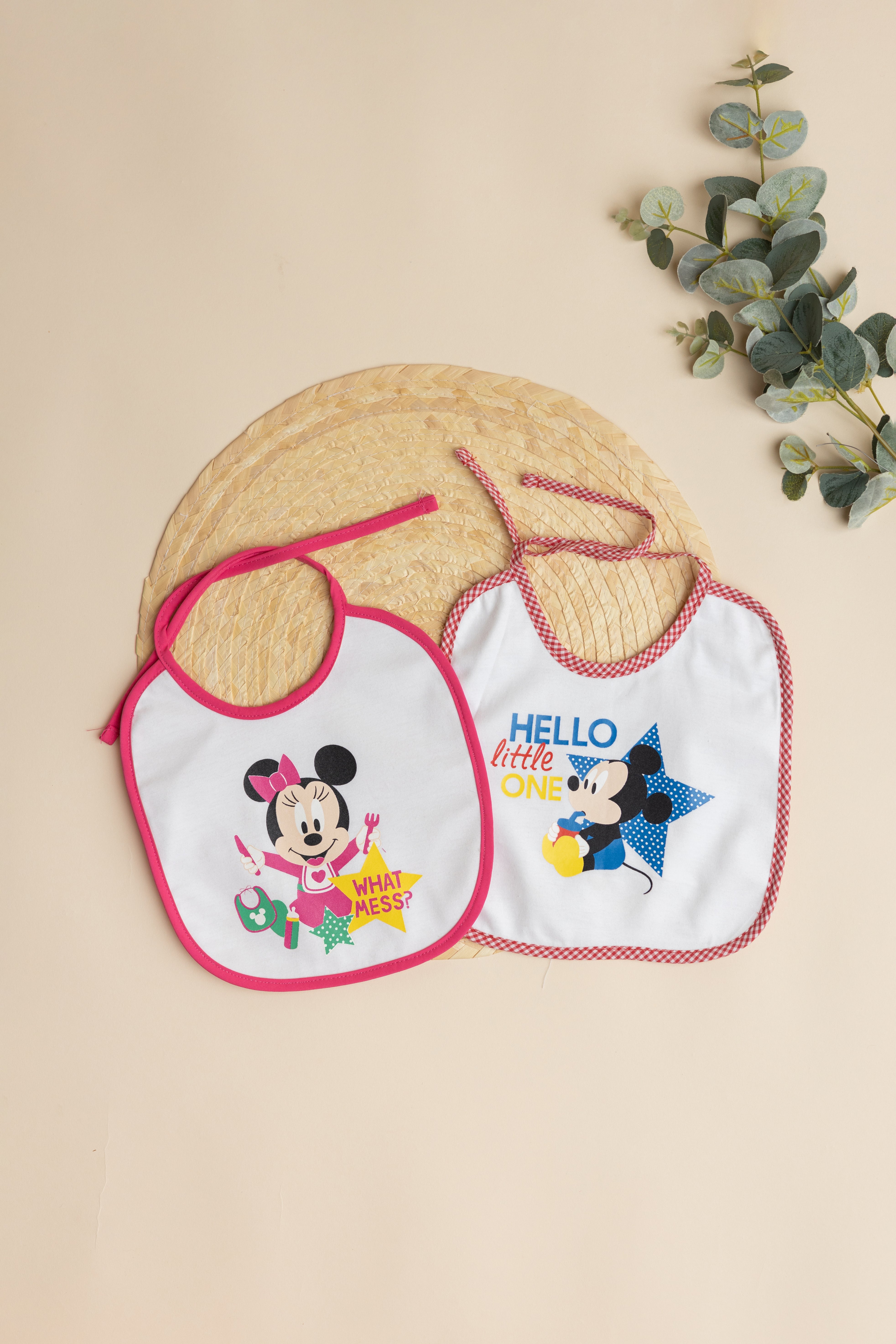 Mickey & Minnie Bibs